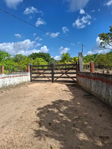 Vendo Chácara no setor agrícola