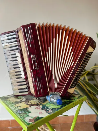 Sanfona Acordeon