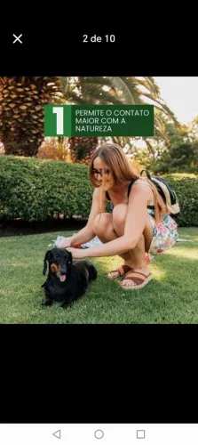 Grama São Carlos Fácil de Plantar e Cuidar 