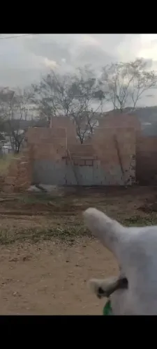Oportunidade Lote no Jardim Vitória (Getsêmani)