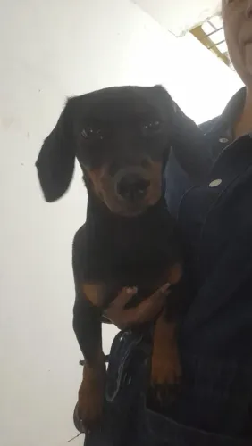 Ajude a me encontrar
