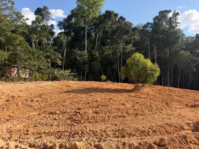 Aluguel de  Escavadeira (terraplanagem)