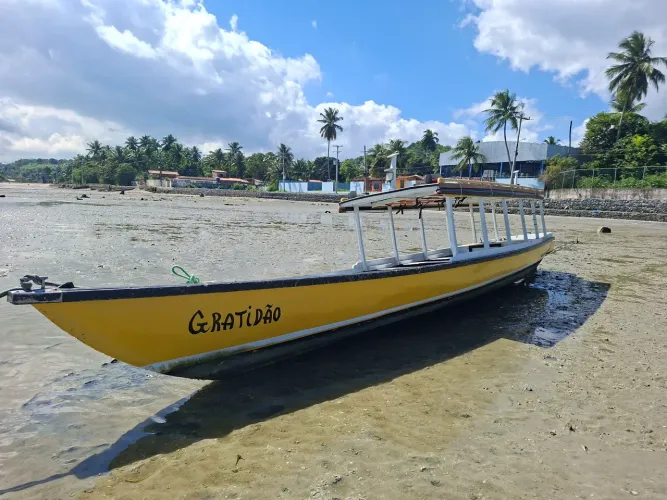 CANOA DE FIBRA 10 Metro 