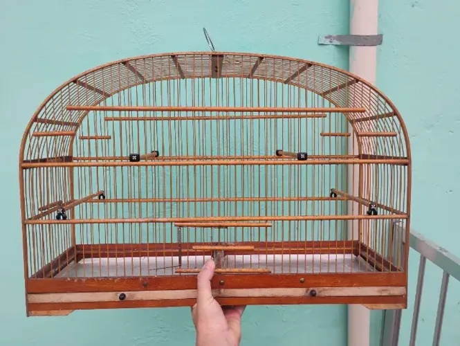 Voador de 50cm