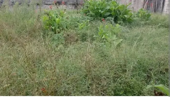 Terreno a venda na estrada de Extremoz Px a AmBev18.000