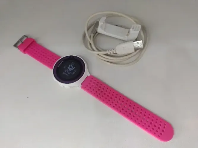 Garmin FR 220