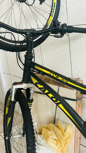 Bicicleta Caloi Andes