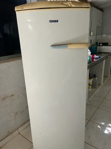 Freezer Vertical Consul