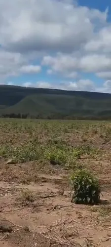? *Fazenda no Chapadão ? Oportunidade Única!* ? - *Onde*: Chapadão, 100 km de Vitória da C