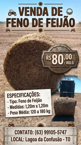 Feno de feijão