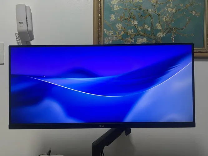 Monitor UltraWide LG 29 + Braço articulado