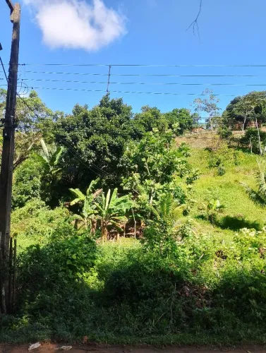 Terreno em Caetés (abreu e lima)