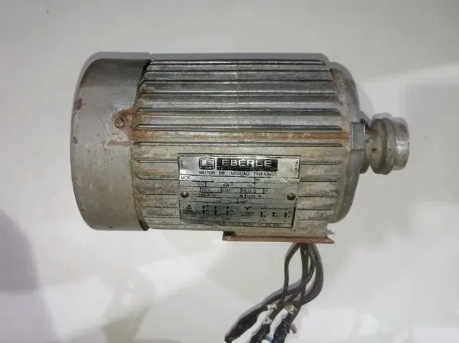 MOTOR DE INDUCAO TRIFASICO EBERLE