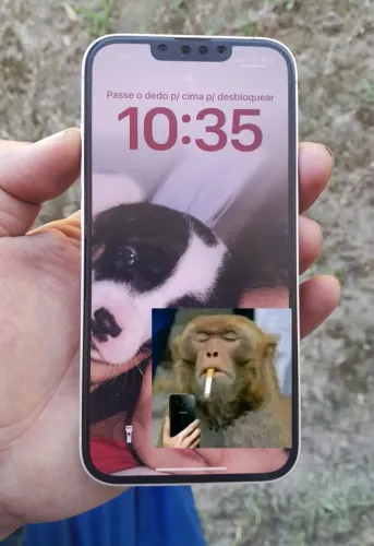 Celular iPhone 13