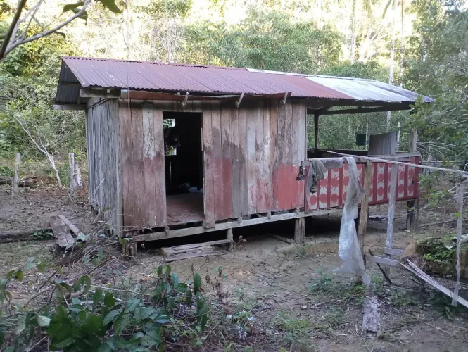 Terreno 