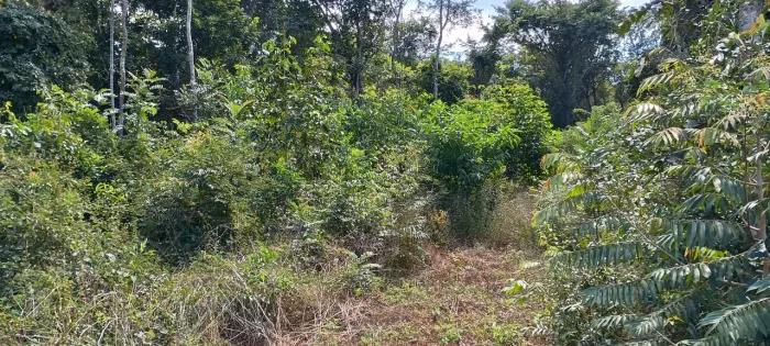 Chácara Pirenópolis sítio e áreas 