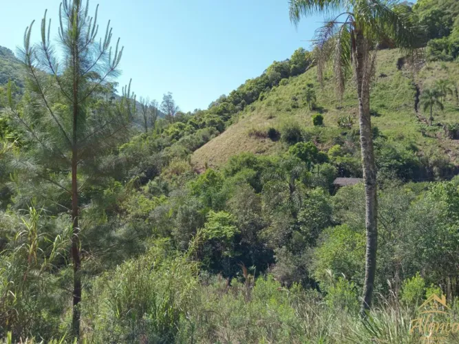 Área de terra à venda em Linha Pirajá Baixa na Cidade de Nova Petrópolis RS! REF: 1531