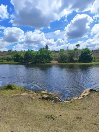 Fazenda com 150 hectares na região de Pedro velho
