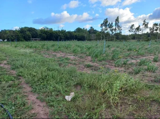 Fazenda/haras 30 hectares em Ceará Mirim