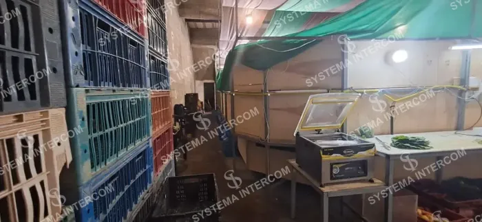 Hortifruti em forte centro comercial, sem concorrência na Zona Leste