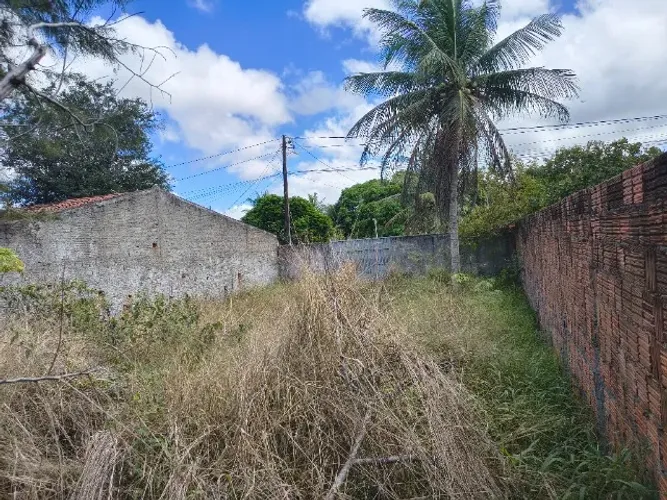2 terrenos de 10x25 cada em Massaranduba