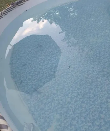 Piscina 9.150mil litros