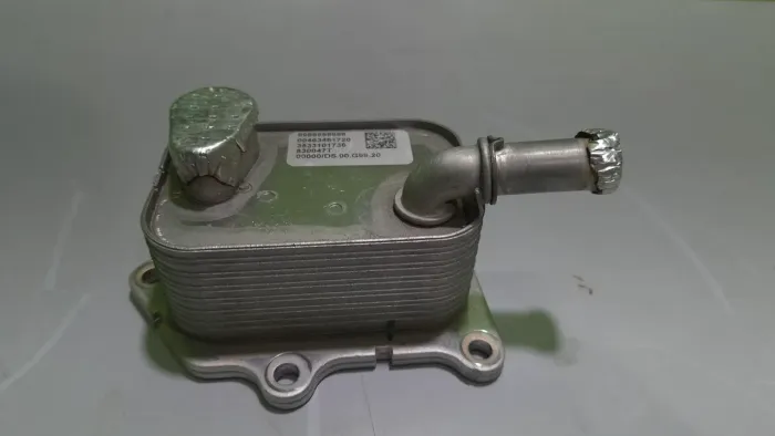 Trocador de calor Jeep/Fiat 1.3 T270