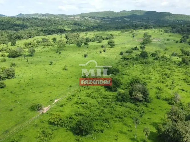 Fazenda 100 Alqueires (484 hectares) Faina - GO
