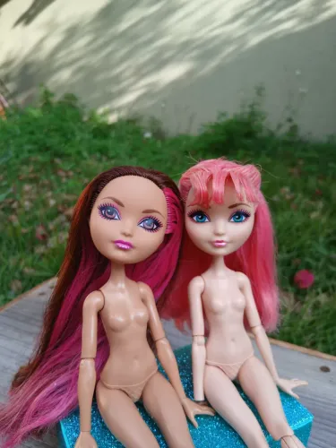Lote ever after high