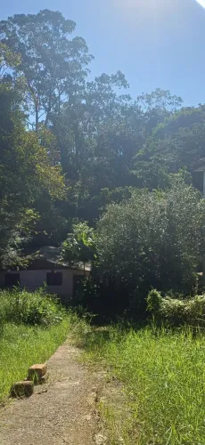 Vendo terreno com árvores frutíferas de 12 por 53 próximo a faixa de Viamão
