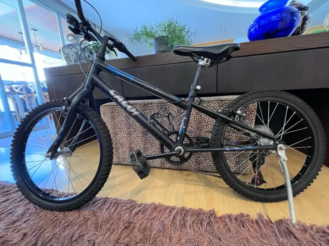 Bicicleta Caloi Aro 20