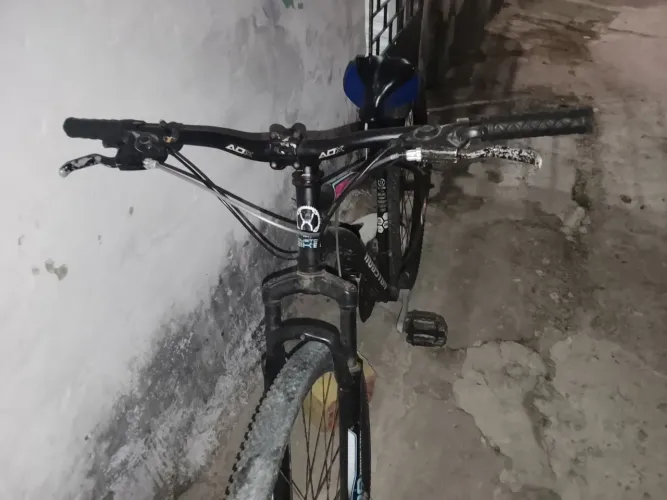 Bicicleta