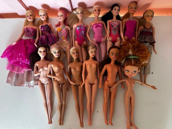 Lote de Barbies 