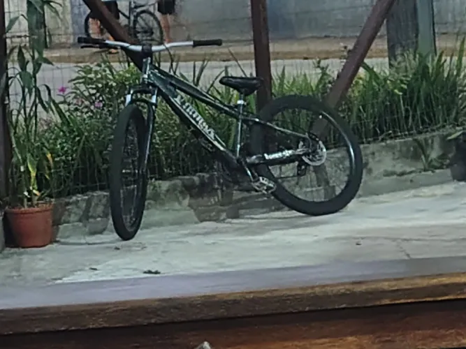 Bike Viking Warrior Quadro raro