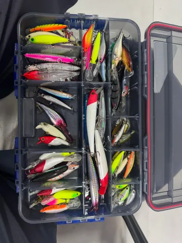 Artigos de pesca