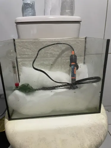 Aquário