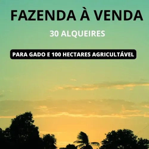 Fazenda em Flores Goiás divisa com Buritis minas 31 alqueires dupla aptidão documentada