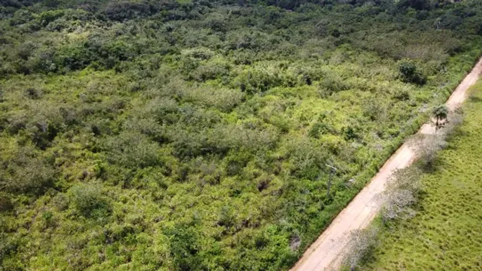 61 hectares há 66 km de Belém só mata R$ 180 mil reais