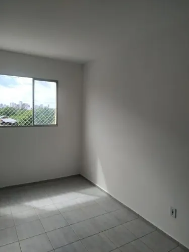 Pintor disponível
