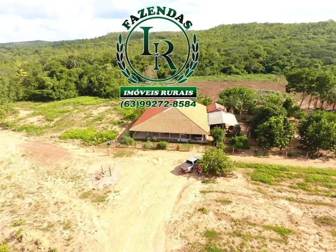 Fazenda Oportunidade 127 Alqueires Próximo a Palmas 