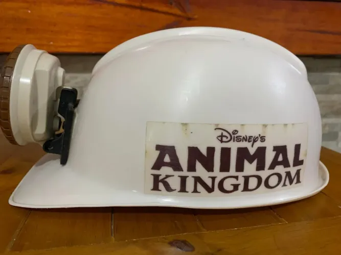 Capacete Disney Animal Kingdom
