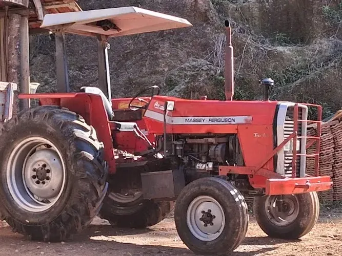 Trator Massey ferguson 290 turbo com 6500 horas segunda mão ano 1995