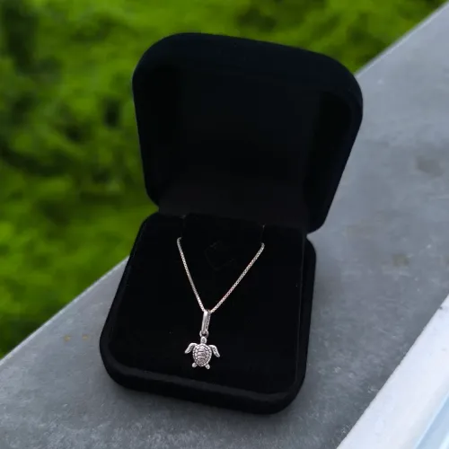 Conjunto de corrente de prata com pingente de tartaruga, Entrega em até 6 horas