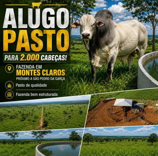 ALUGO PASTO