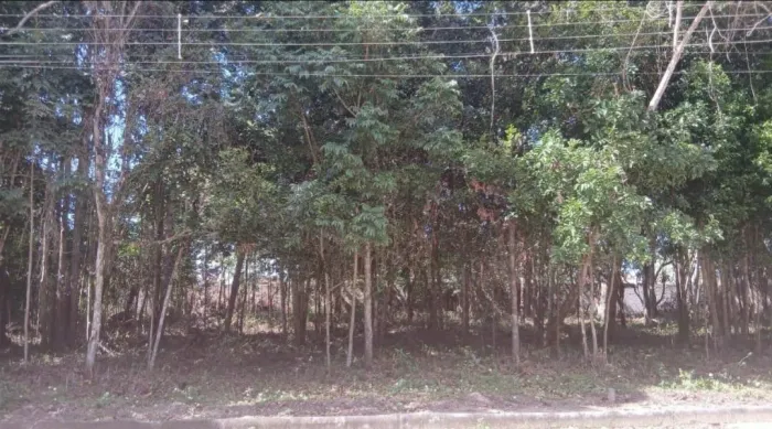 Terreno em Condomínio fechado em Santa Cruz Cabrália - Segurança e Natureza