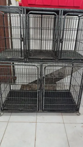 Gaiola para banho e tosa