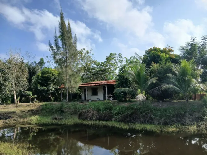 Vendo sítio em Santa rosinha município de Pedro do Rosario 