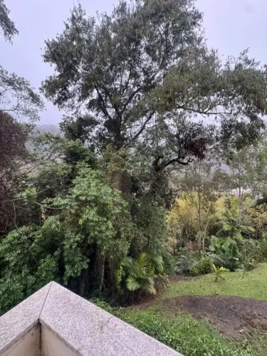 Imóvel para venda possui 320 metros quadrados com 5 quartos