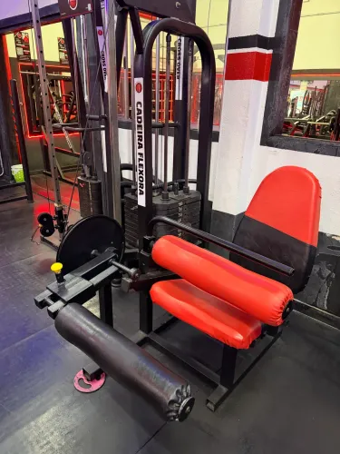 Cadeira Flexora Pro Physical
