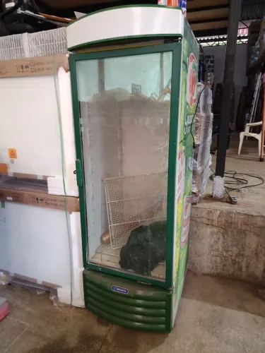 Freezer expositor 